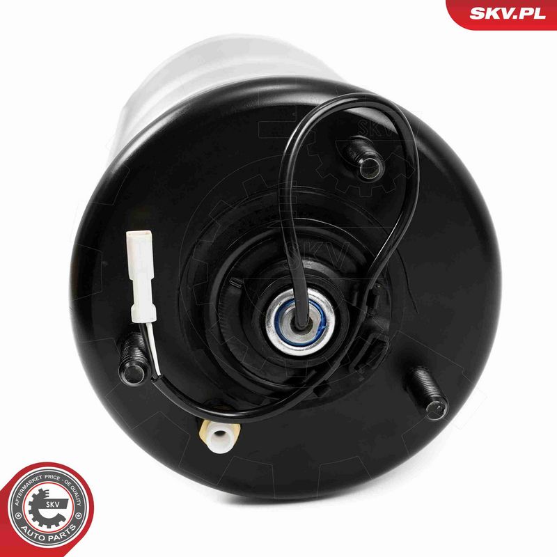 ESEN SKV 58SKV712 Air Suspension Strut