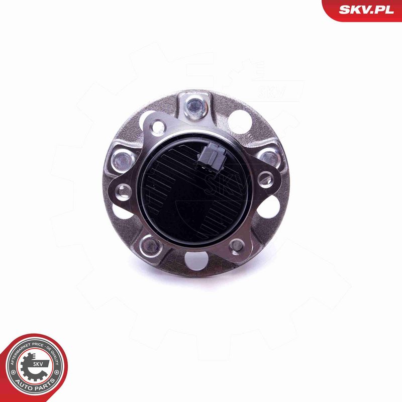 ESEN SKV 29SKV293 Wheel Bearing Kit