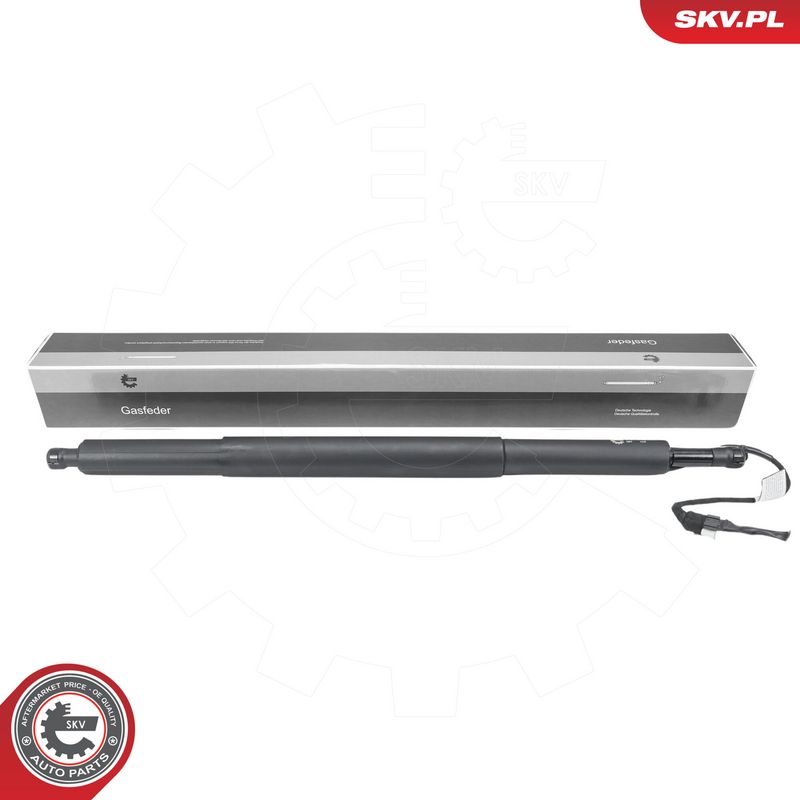 Elektrimootor, tagaluuk, ESEN SKV 52SKV209