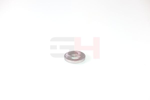 caster shim, sillatala, GH GH-391582