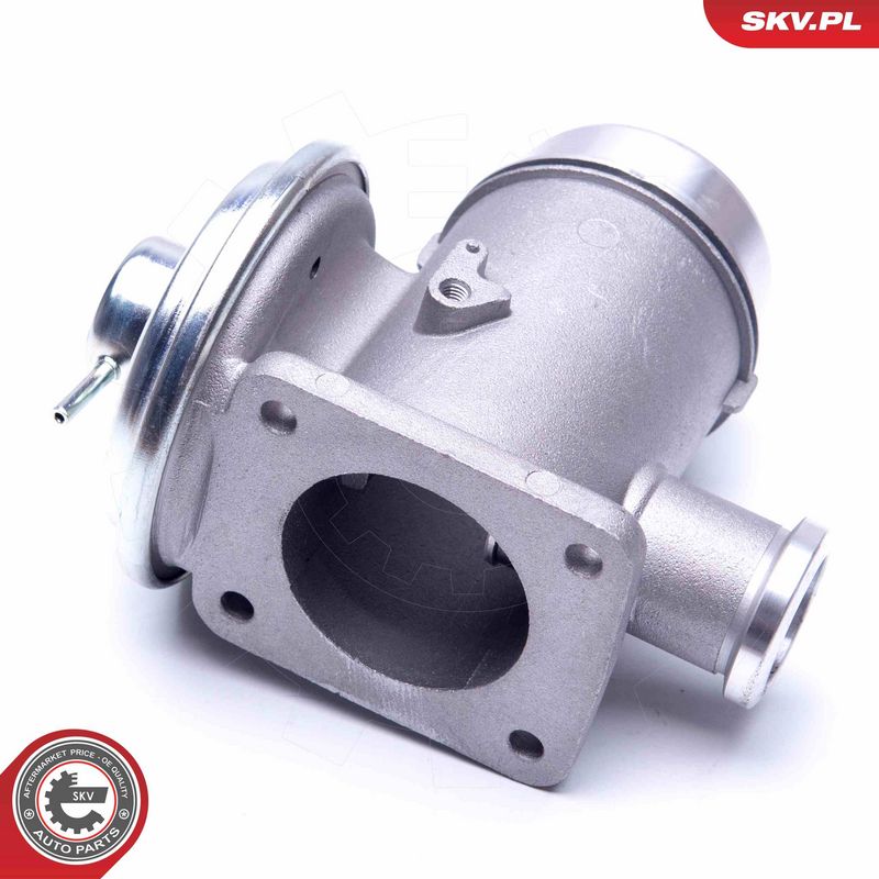 EGR-klapp, ESEN SKV 14SKV176