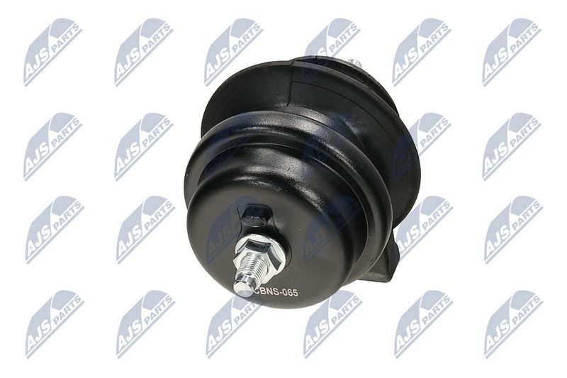 Paigutus, Mootor, NTY ZPS-NS-065