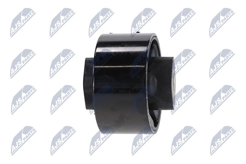 Paigutus, Mootor, NTY ZPS-CH-064