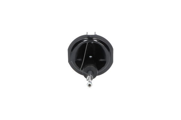 Kavo Parts SSA-10149 Shock Absorber
