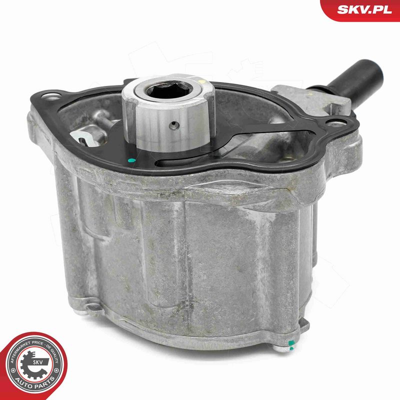 ESEN SKV 18SKV069 Vacuum Pump, braking system