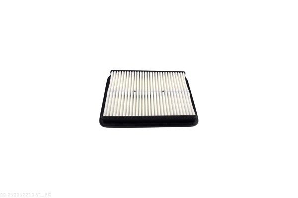AUTOMEGA 250052210 Air Filter