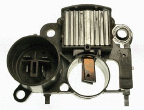 RTR8113.JPG