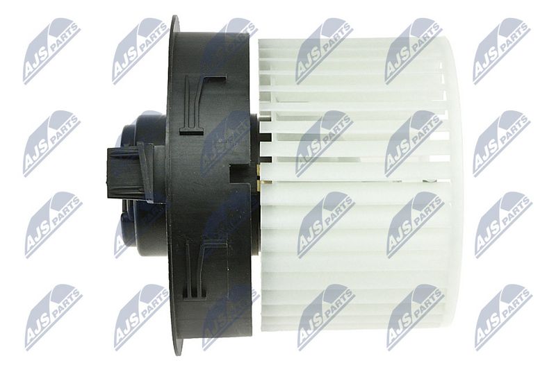 Salongipuhur, NTY EWN-NS-005