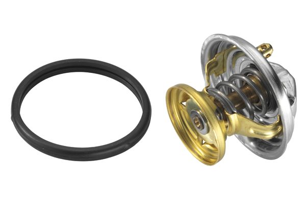 BorgWarner (Wahler) 4176.75D Thermostat, coolant