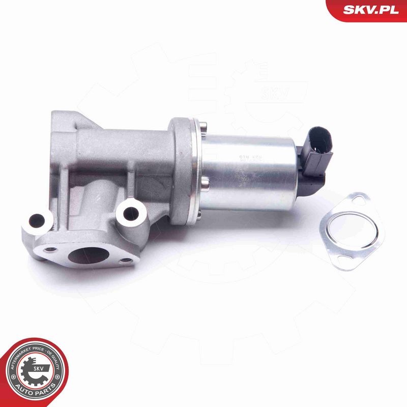 ESEN SKV 14SKV105 EGR vožtuvas