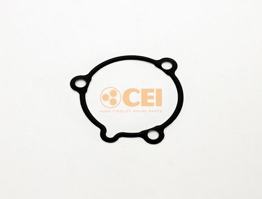 139.679.JPG