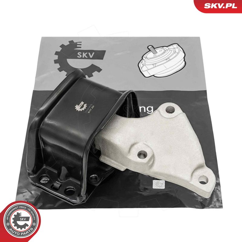 Paigutus, Mootor, ESEN SKV 75SKV070