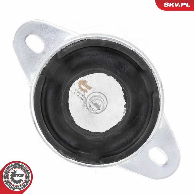 Paigutus, Mootor, ESEN SKV 75SKV052