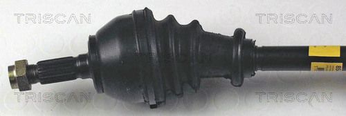 854028533_2.JPG