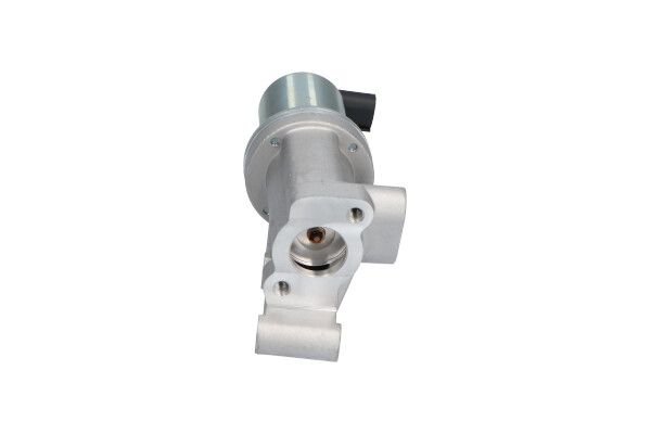 Kavo Parts EEG-3006 EGR Valve