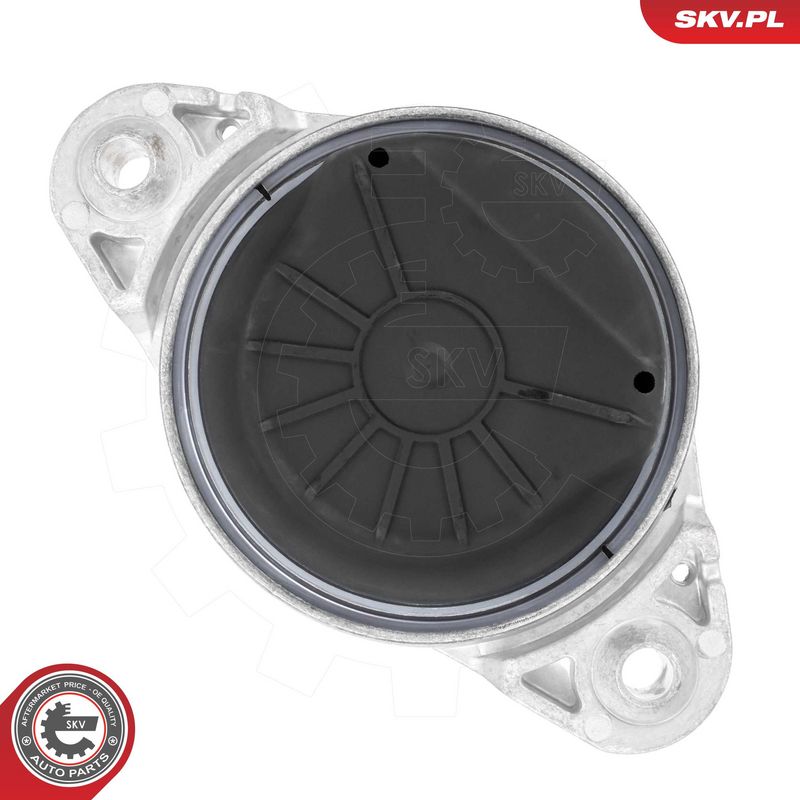 Paigutus, Mootor, ESEN SKV 75SKV118