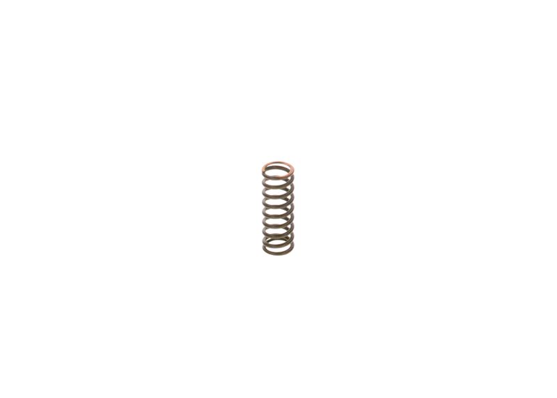 BOSCH 2444618009 Spring