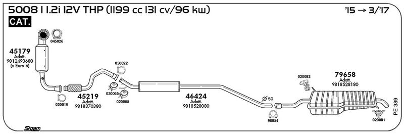 pe389_1.JPG
