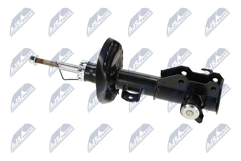 Amort, NTY A-PL-062