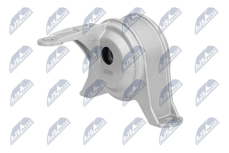 Paigutus, Mootor, NTY ZPS-PL-001