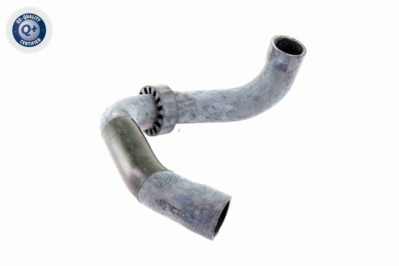 VAICO V30-2220 Radiator Hose
