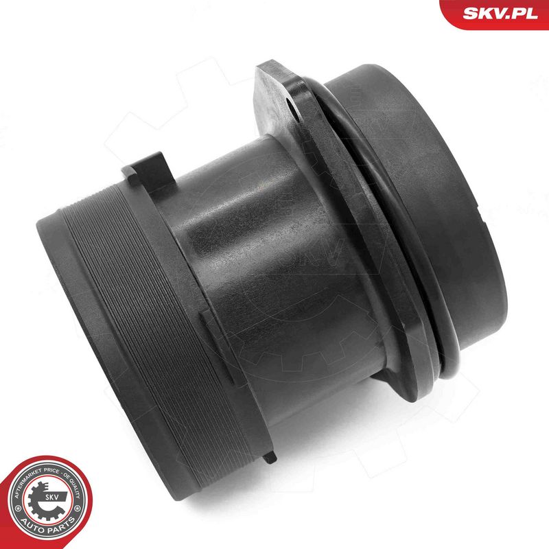 ESEN SKV 07SKV247 Mass Air Flow Sensor