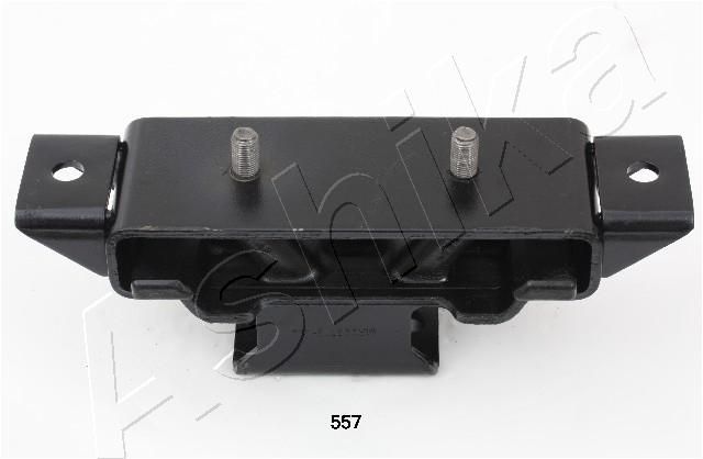 GOM-557_1.JPG