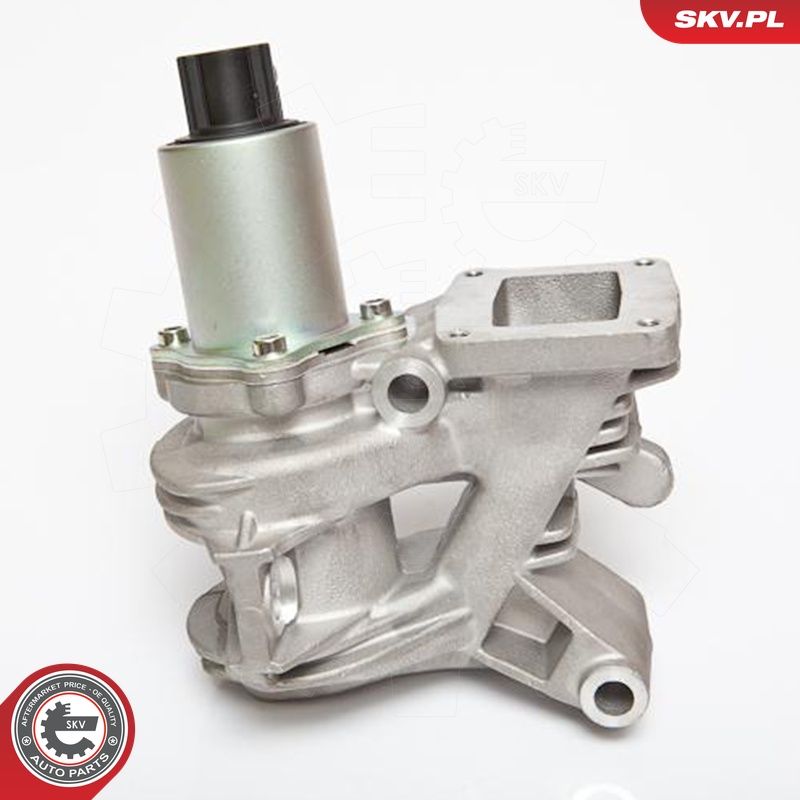 EGR-klapp, ESEN SKV 14SKV036