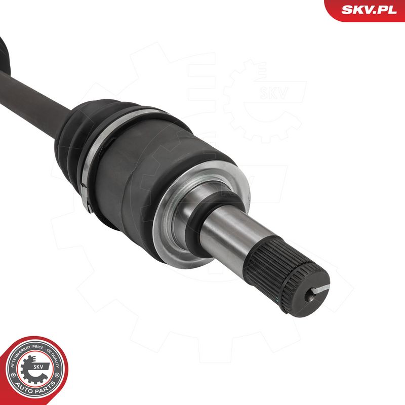 OEM код товара: A2513301901
