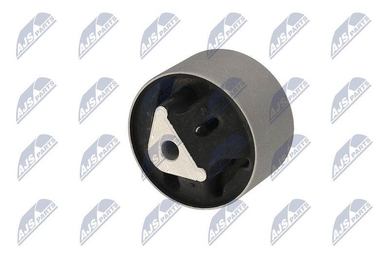 Paigutus, Mootor, NTY ZPS-CH-039