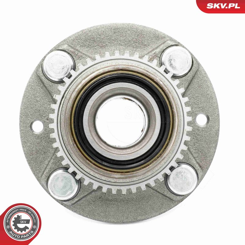 ESEN SKV 29SKV618 Wheel Bearing Kit