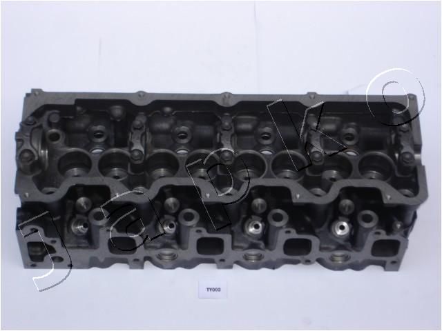 JTY003_1.JPG