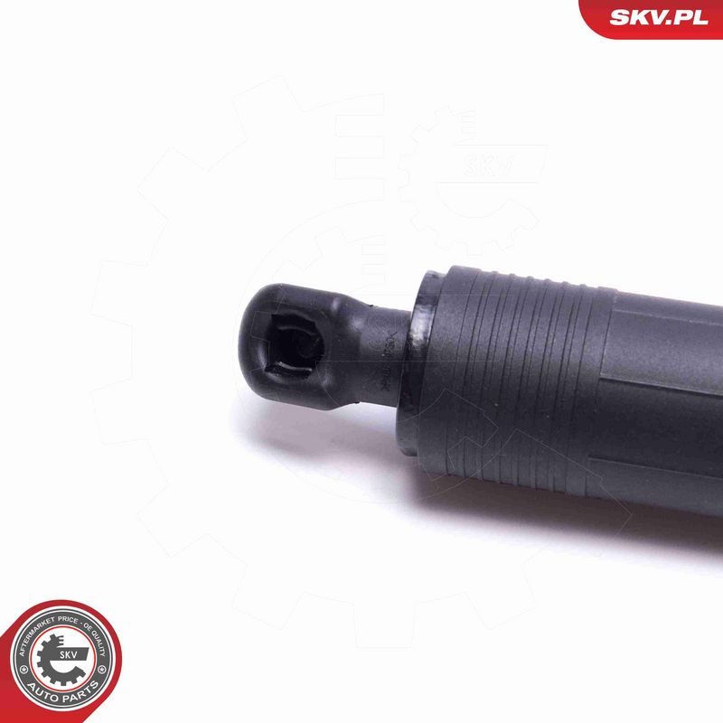 ESEN SKV 52SKV903 Electric Motor, tailgate