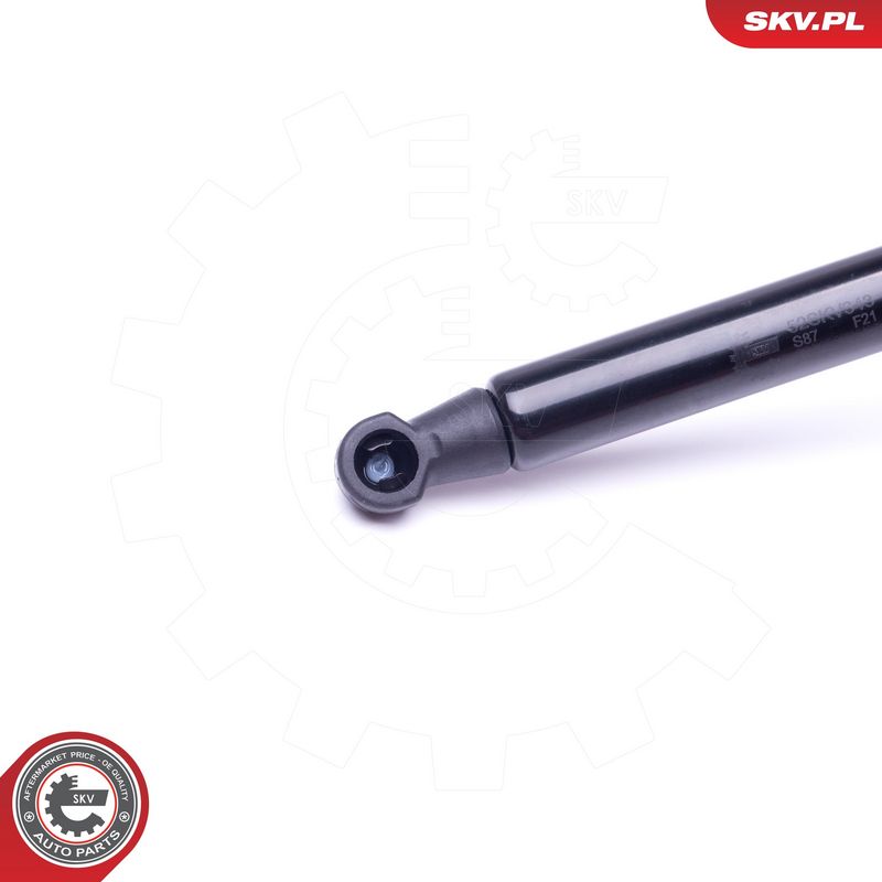 Gaasivedru, pagasi-, veoruum, ESEN SKV 52SKV343