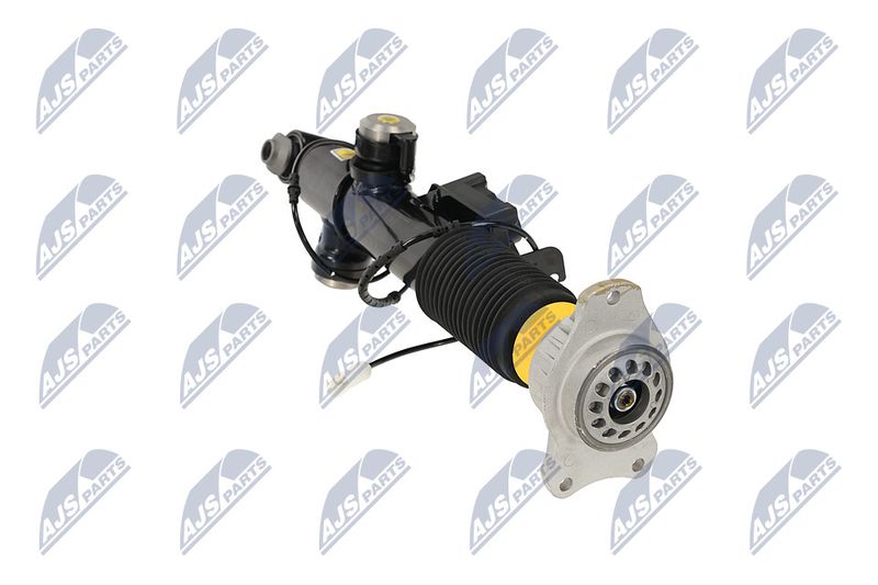 Amort, NTY A-BM-085
