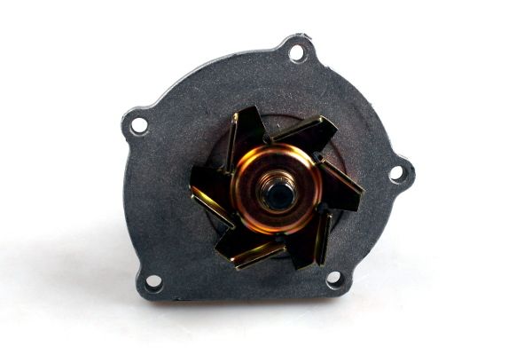 HEPU P1025 Water Pump, engine cooling