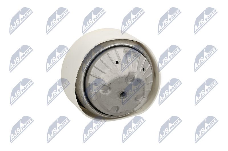 Paigutus, Mootor, NTY ZPS-ME-103