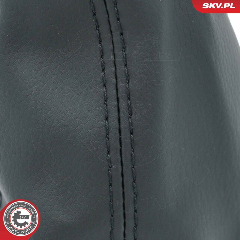 Käigukanginupp, ESEN SKV 63SKV484