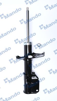 MSS015895B.JPG