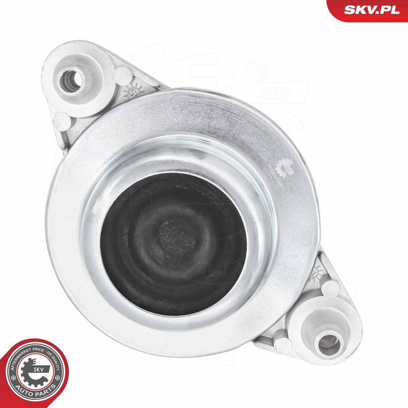 Paigutus, Mootor, ESEN SKV 75SKV288