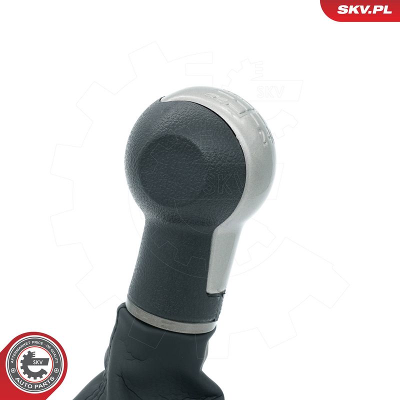 Käigukanginupp, ESEN SKV...