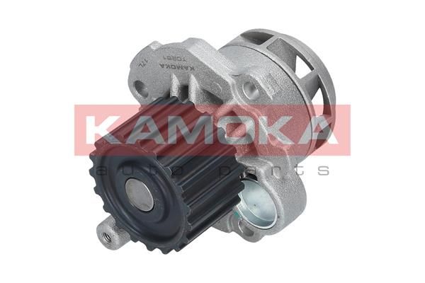 KAMOKA T0251 Water Pump, engine cooling