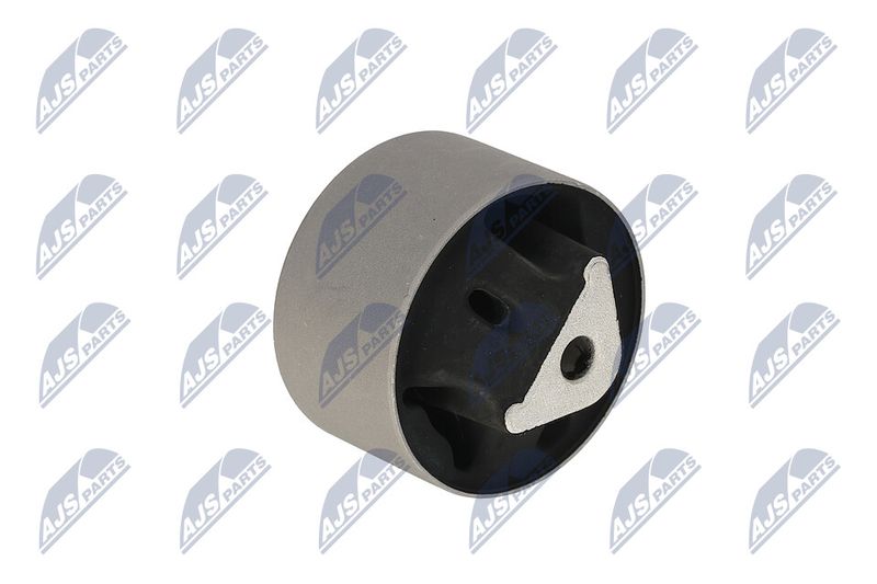 Paigutus, Mootor, NTY ZPS-CH-039