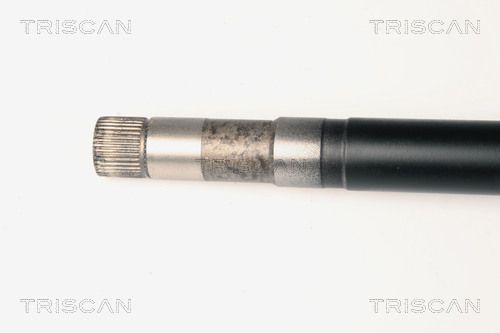 854028635_2.JPG