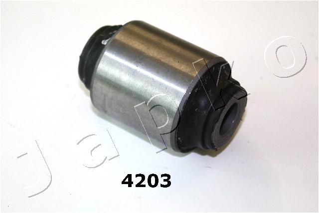 GOJ4203_1.JPG