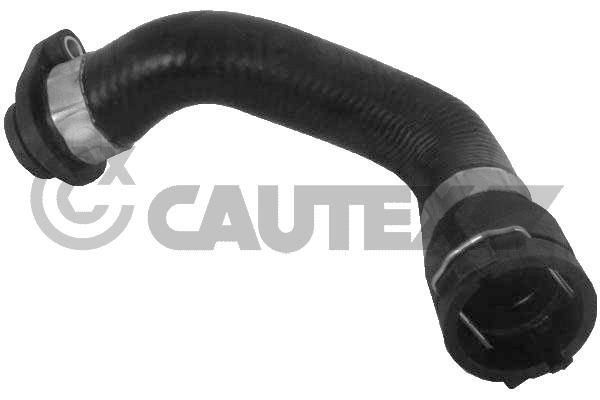 CAUTEX 206040 - Radiator Hose