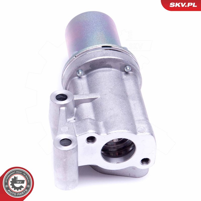 EGR-klapp, ESEN SKV 14SKV211