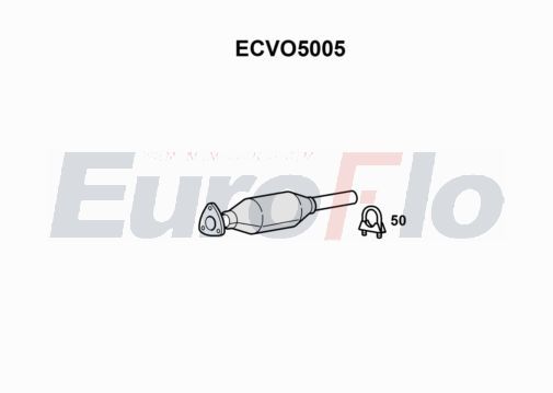 ecvo5005.JPG