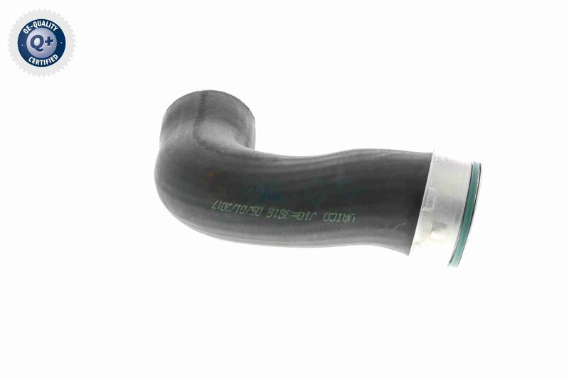 VAICO V10-3816 Charge Air Hose