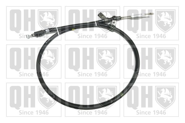 QH_BC2991.JPG